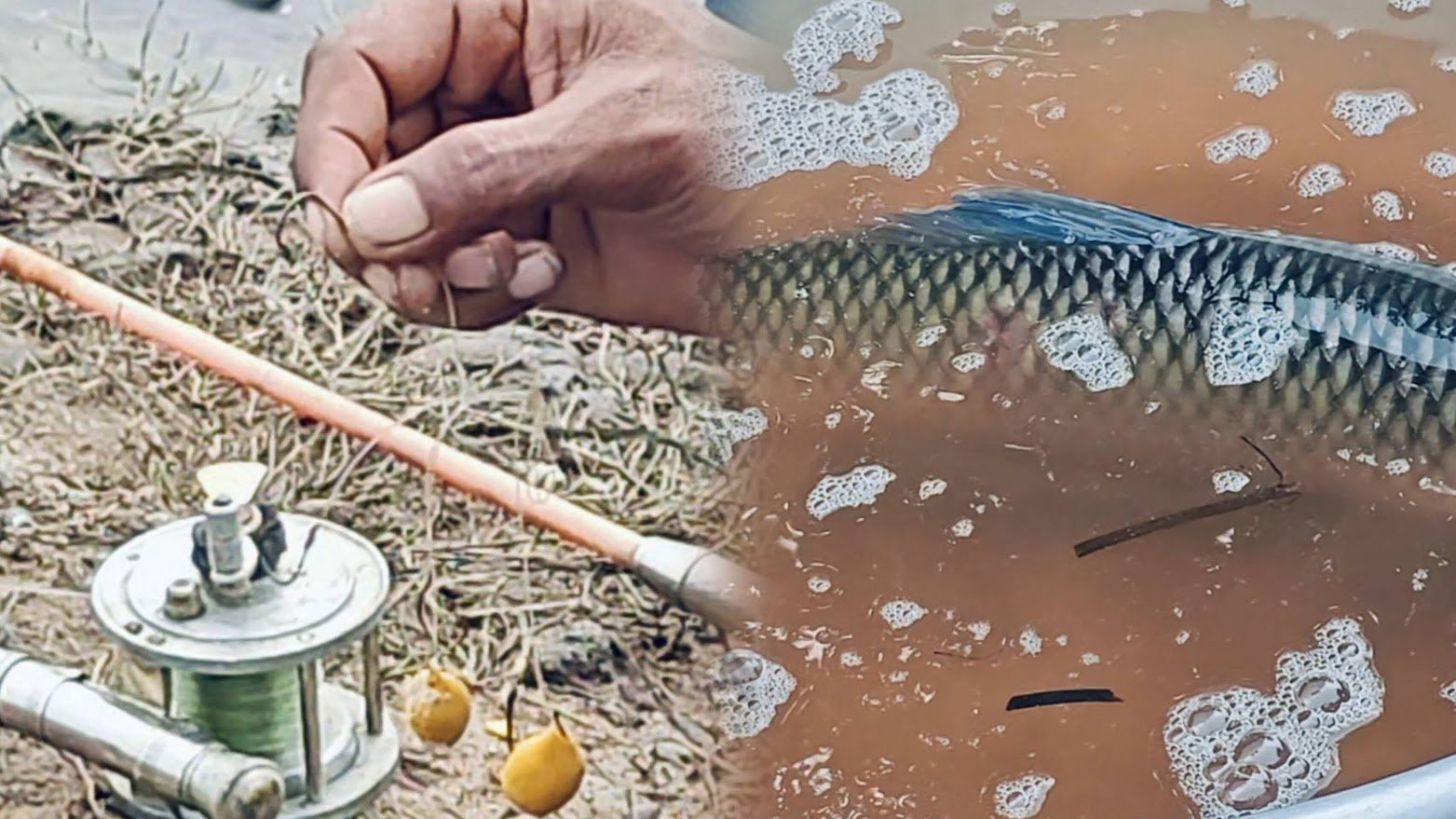 Fishing: বন্যা কমে যেতেই মাছ ধরার মেলা মেদিনীপুরে, ছিপের মাছেই প্রতিদিন হাজার টাকা ইনকাম প্রায়