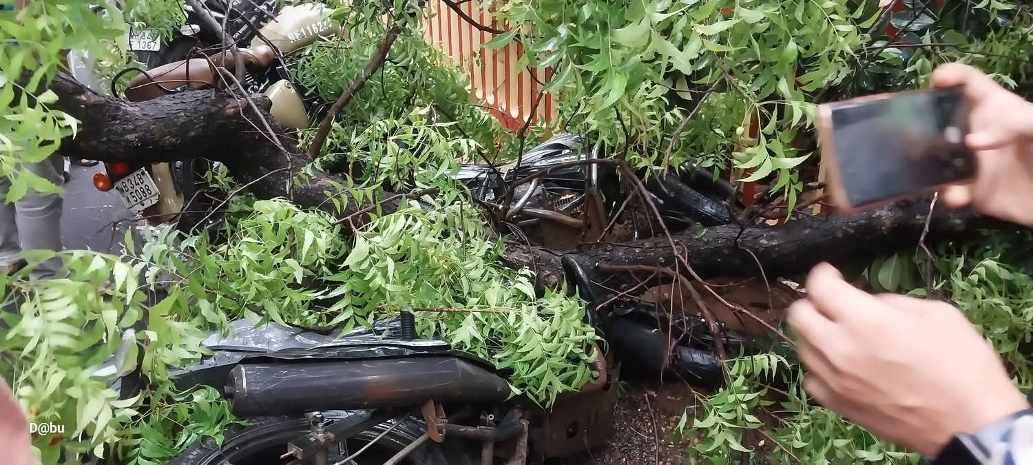 Medinipur: ঝড়ে মেদিনীপুরে জেলা শাসকের দফতরের সামনে ভেঙে পড়লো বিরাট নিমগাছ, চাপা পড়লো ৭ টি বাইক Medinipur: ঝড়ে মেদিনীপুরে জেলা শাসকের দফতরের সামনে ভেঙে পড়লো বিরাট নিমগাছ, চাপা পড়লো ৭ টি বাইক